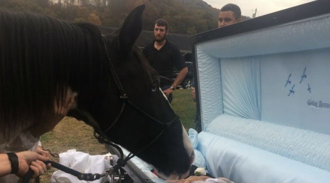 At-the-funeral-the-horse-bids-his-owner-who-never-gave-up-on-him-a-final-goodbye-II (1)